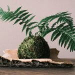 a green plant sitting on top of a piece of wood